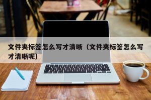 文件夹标签怎么写才清晰（文件夹标签怎么写才清晰呢）
