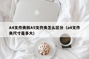 A4文件夹和A5文件夹怎么区分（a4文件夹尺寸是多大）